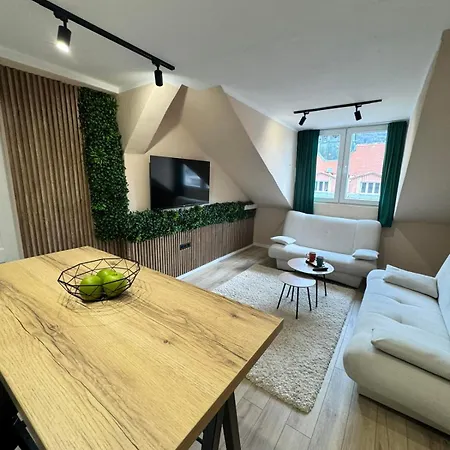 Sa Citycenter - Near Airport Shuttle Bus Station Apartment