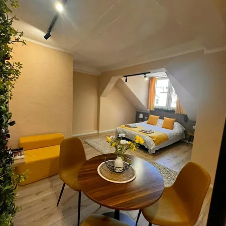 Sa Citycenter - Near Airport Shuttle Bus Station Sarajevo